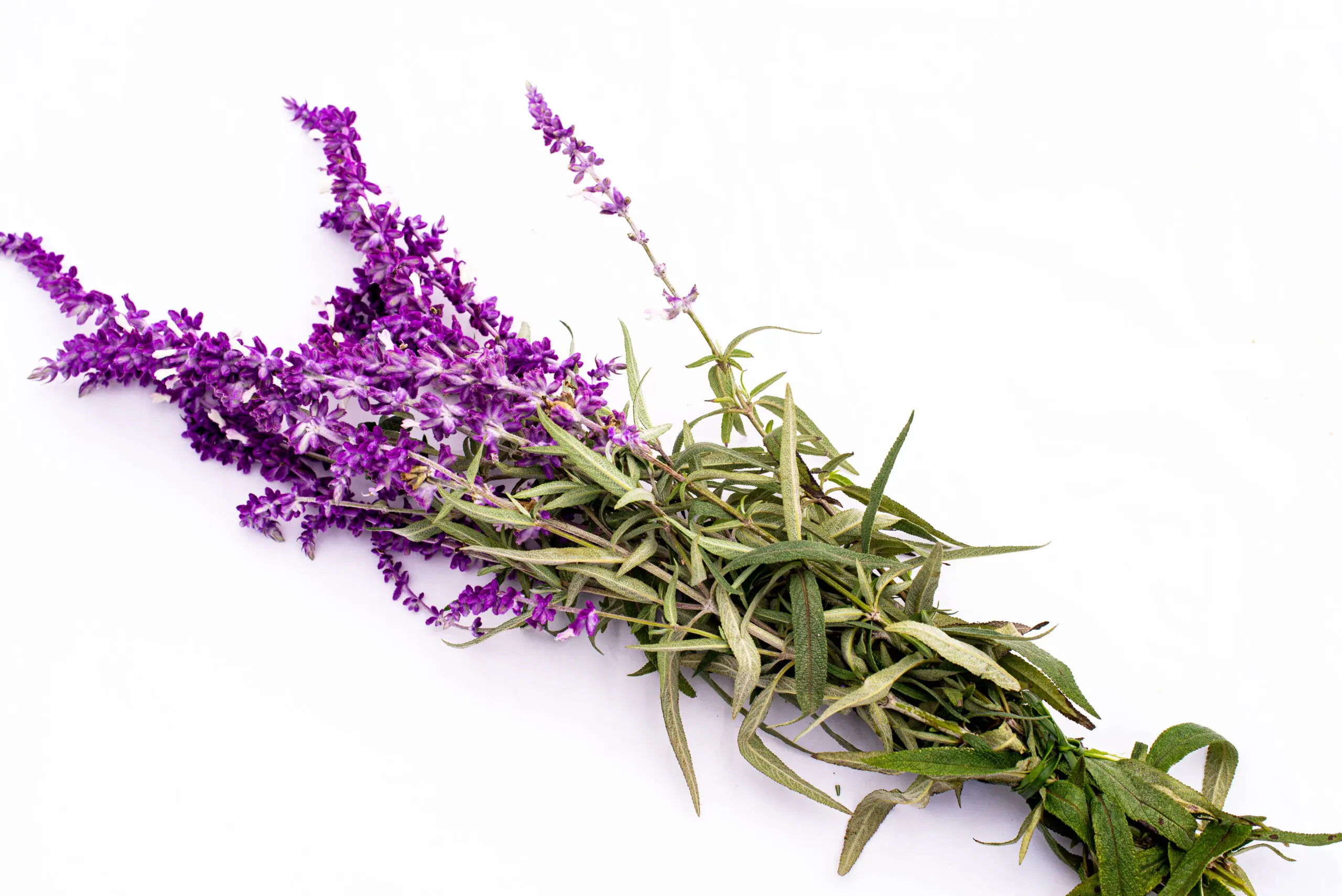 Canasta Orgánica / Biovida - Imagen 11