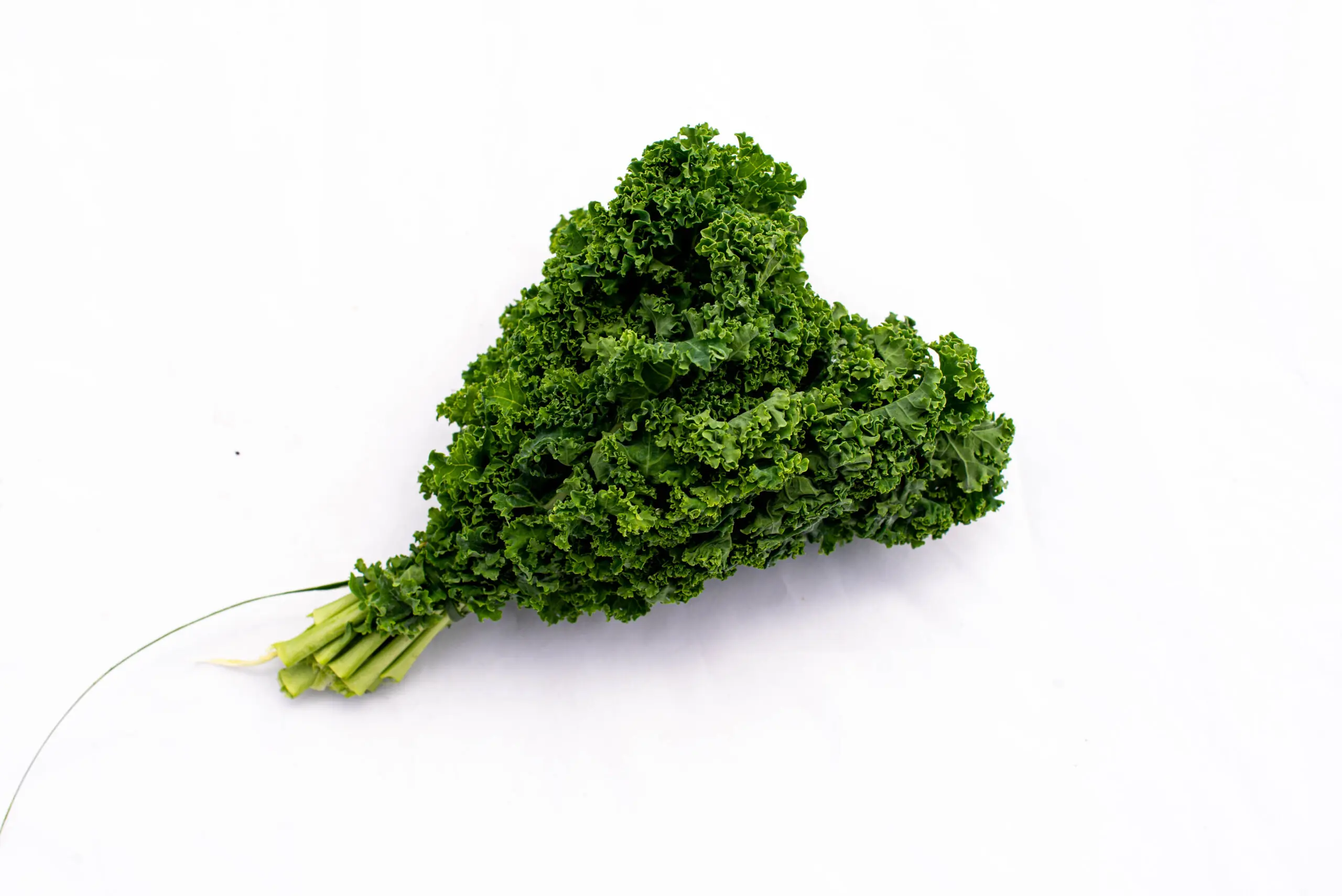 Canasta Orgánica / Biovida - Imagen 8