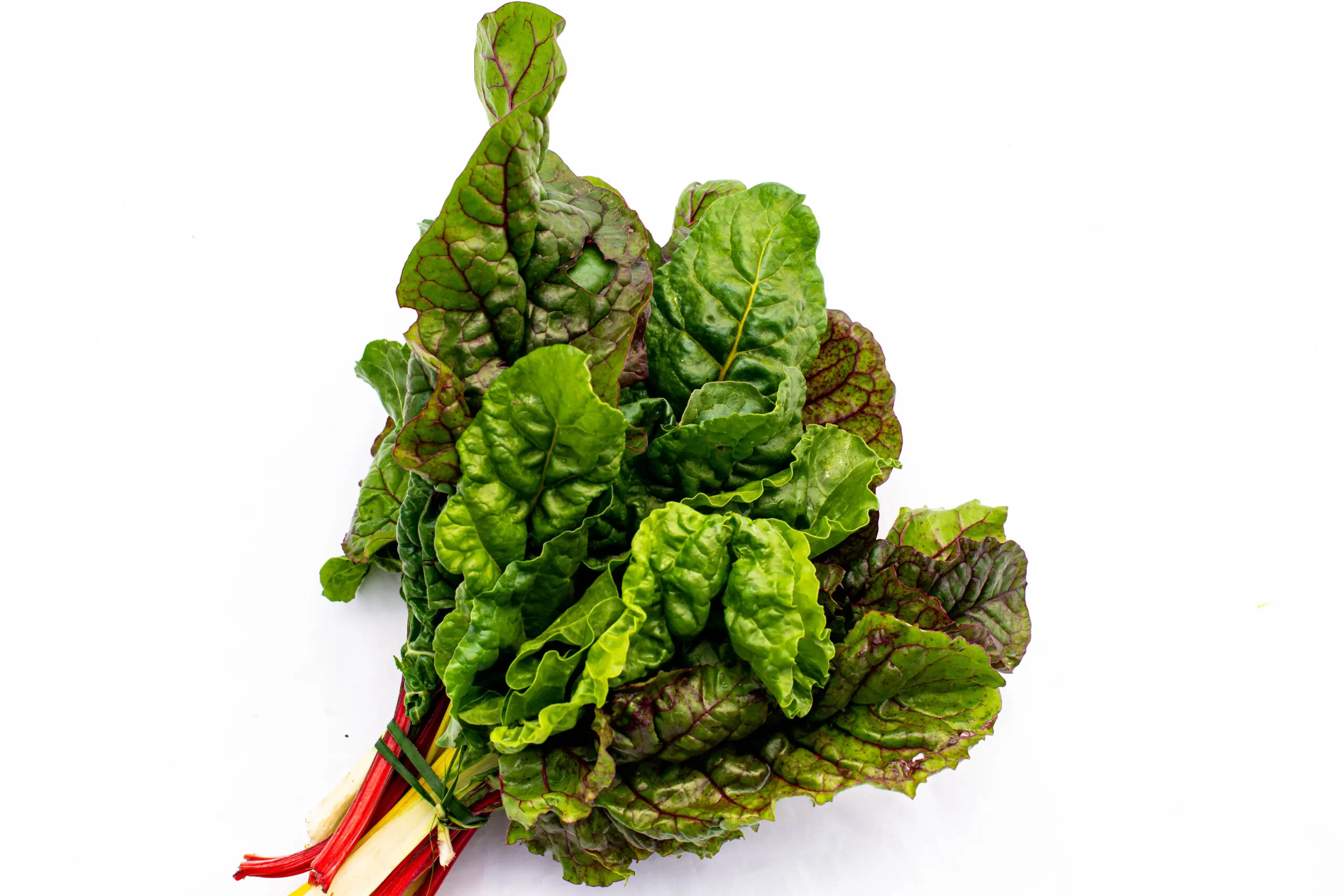 Canasta Orgánica / Biovida - Imagen 7