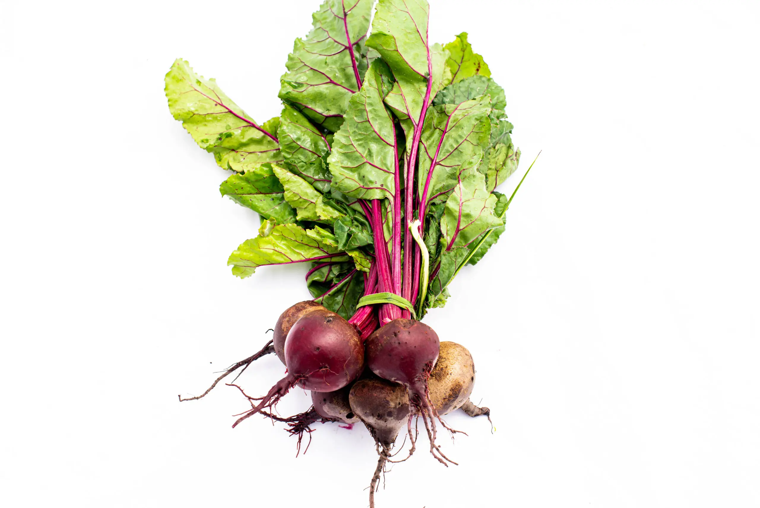 Canasta Orgánica / Biovida - Imagen 2