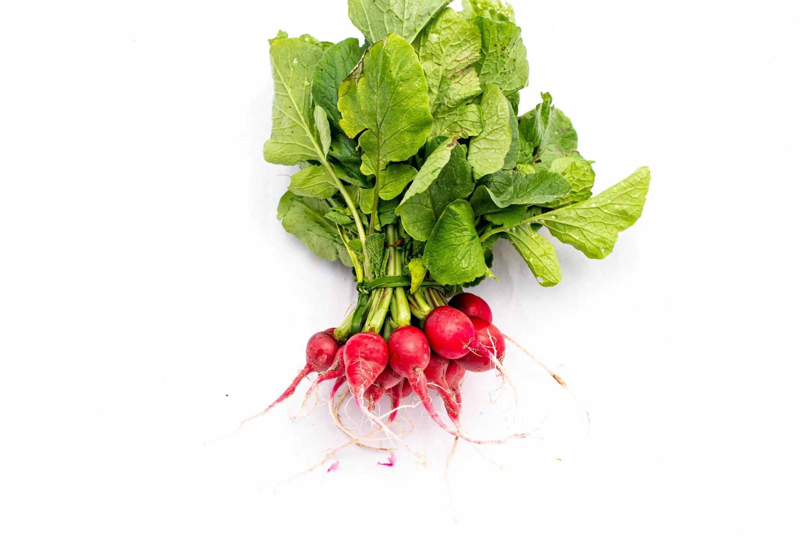 Canasta Orgánica / Biovida - Imagen 4