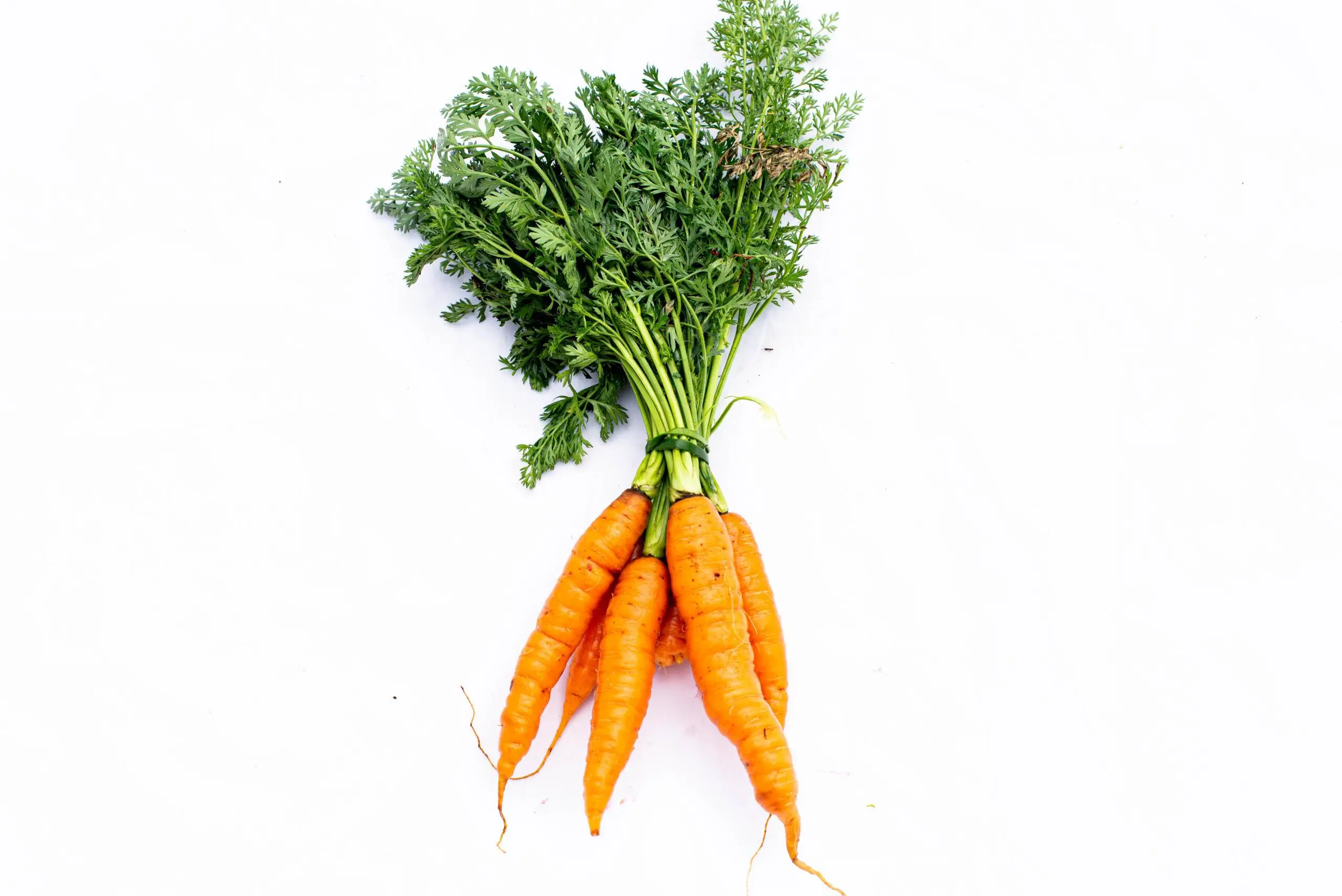 Canasta Orgánica / Biovida - Imagen 5