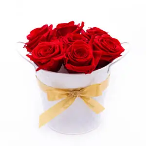 Jardín de Ensueño: Arreglo de Flores Eternizadas Mediano Rojo / Amazon Tunki