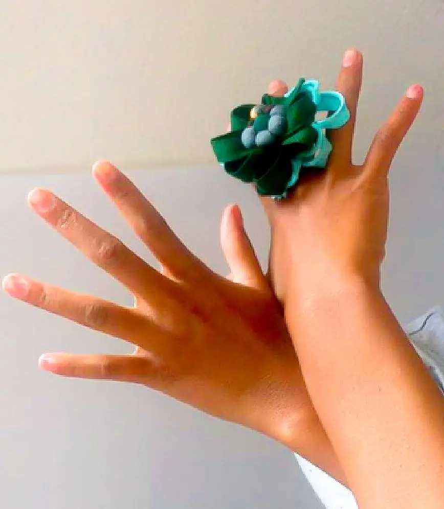 Anillo de tela verde / La Emperatriz