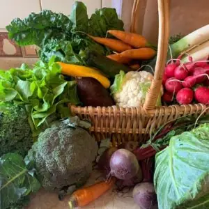 Canasta Orgánica / Biovida