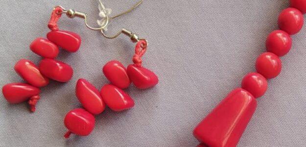 ECO-TAGUA - Jaqueline Cholango