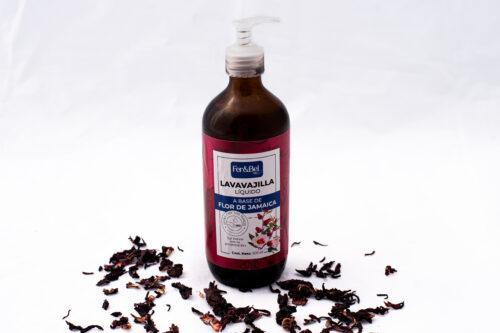Lavavajillas "Jasón"