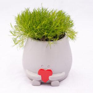 Maceta corazón