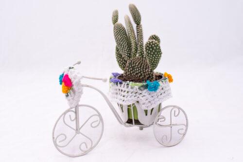 Bicicleta grande