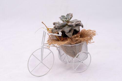 Bicicleta mediana