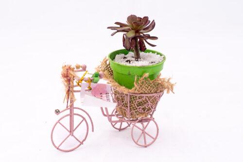 Bicicleta pequeña