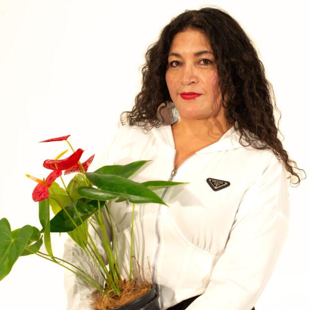 VERO macetitas