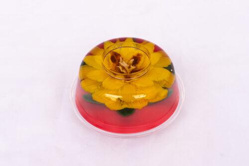 Gelatinas con flores 3D - Copa Venecia 3x6 / Gelatinas Carlitos