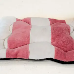 Cama tipo colchoneta