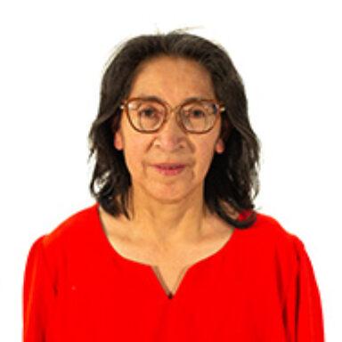 Gelatinas Carlitos - -Lourdes Jayo