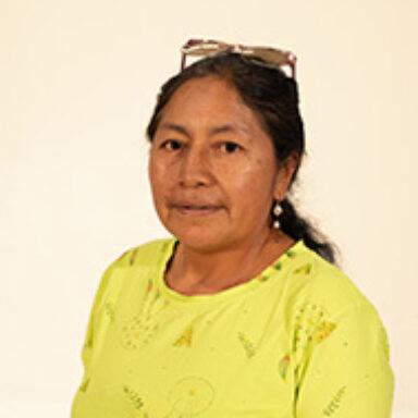 Un mundo de manualidades - Judith Guacollante