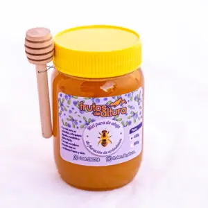 Miel de abeja de floración de Arándanos 400 ml