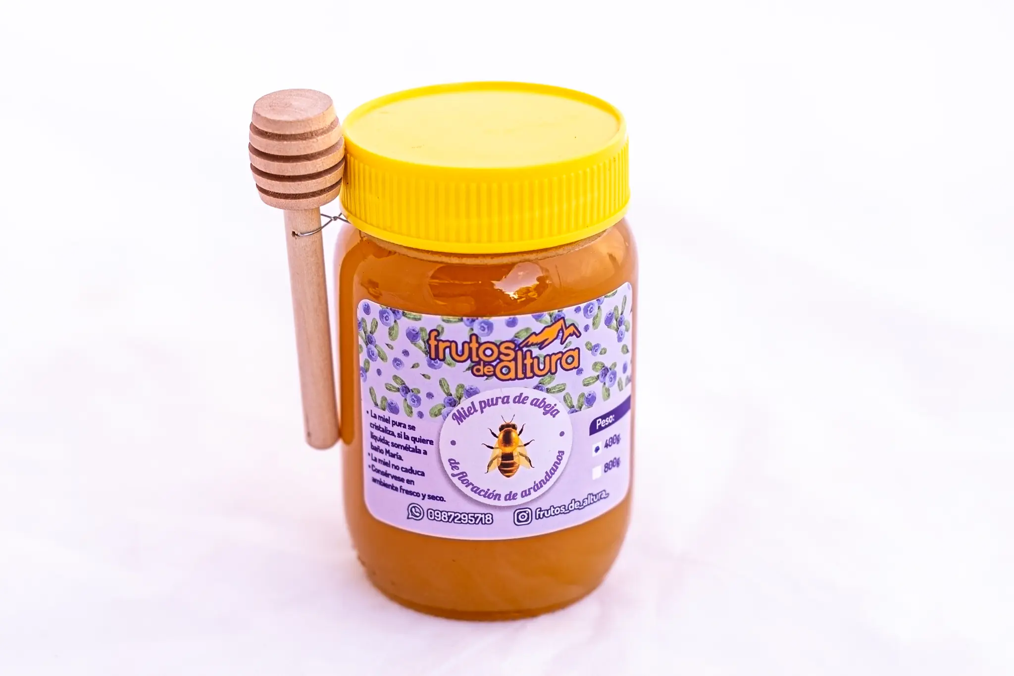 Miel de abeja de floración de Arándanos 400 ml